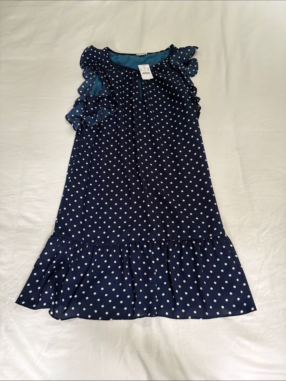 J. Crew Navy and White Polka Dot Ruffle Dress